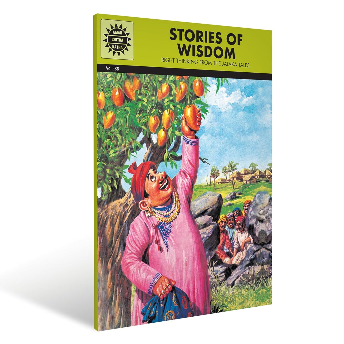 Stories of Wisdom cover