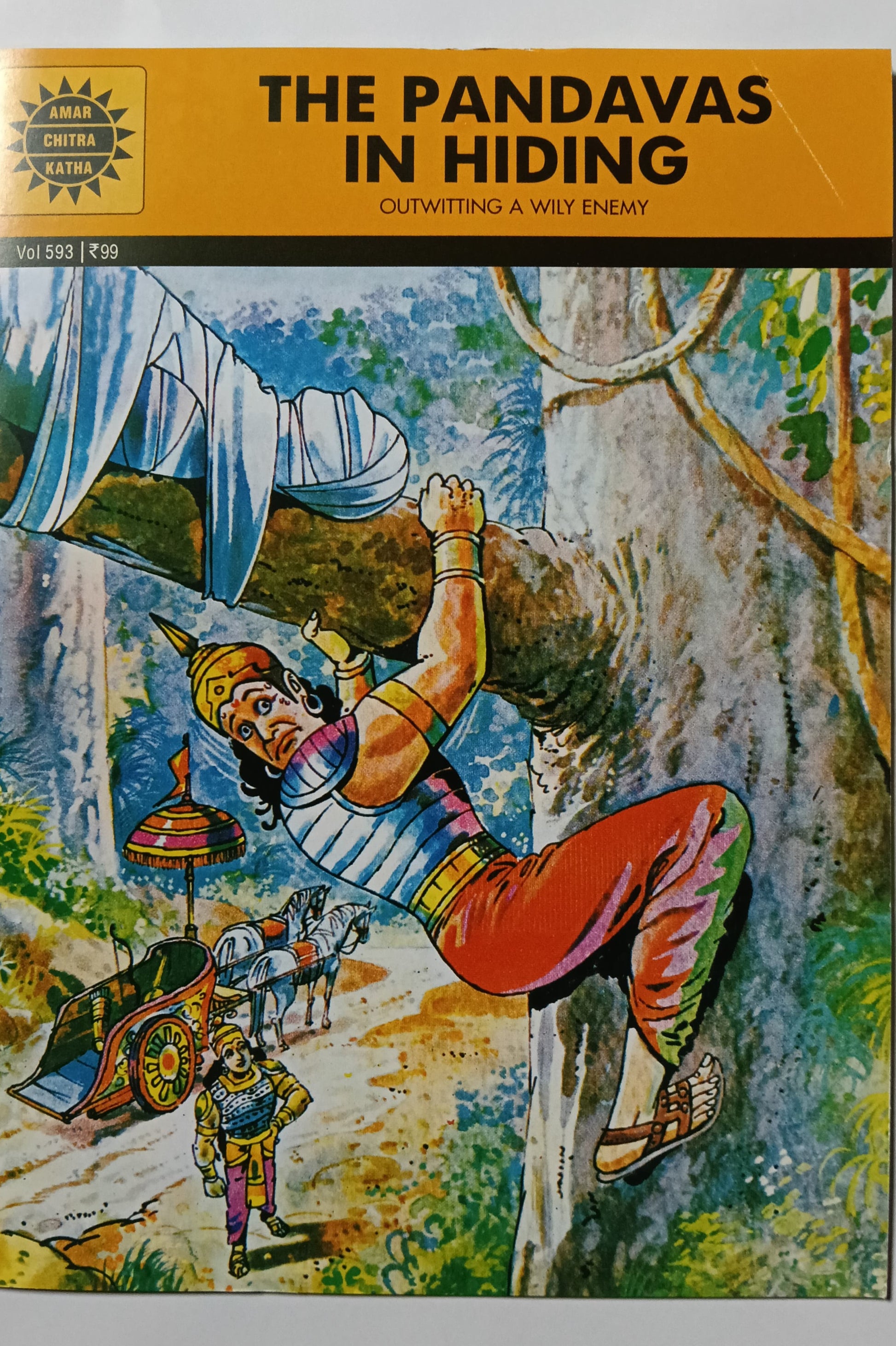 The Pandavas in Hiding cover